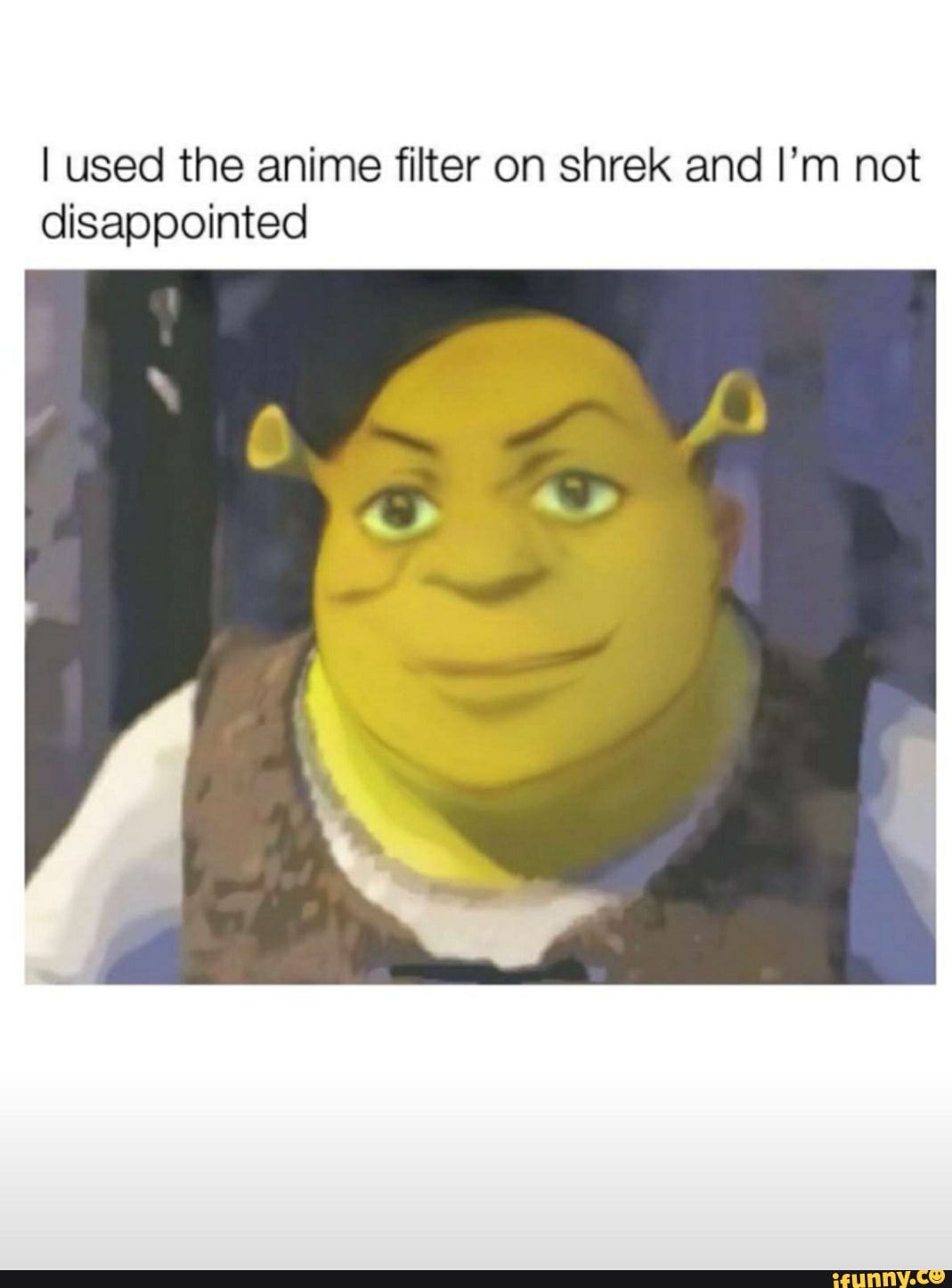 I used the anime filter on shrek and I'm not disappointed - iFunny Brazil