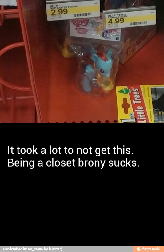 It took a lot to not get this.
Being a closet brony sucks.