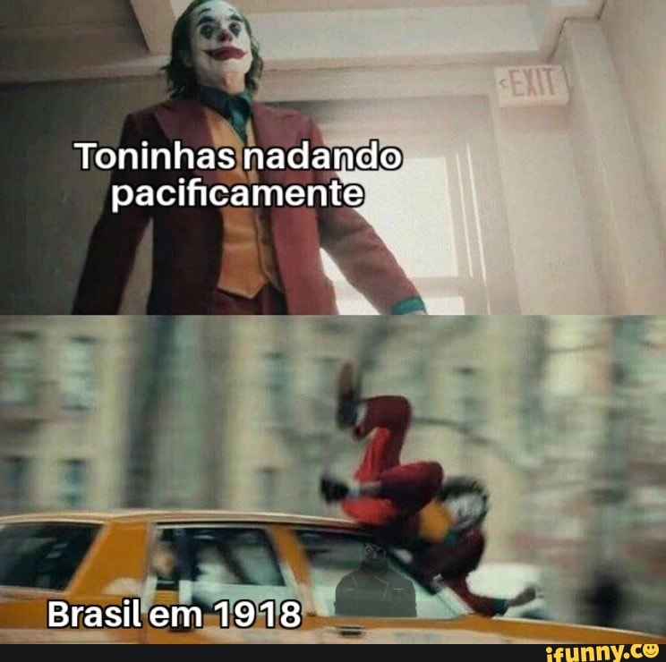 Toninhas nadando
pacificamente