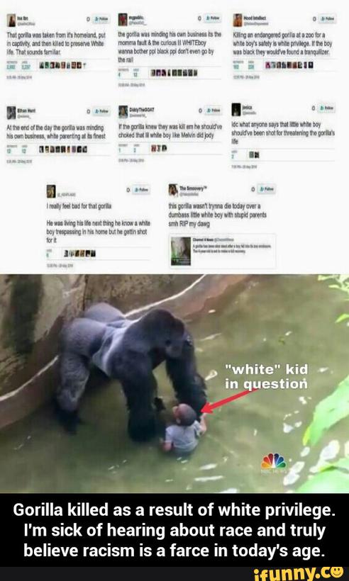 Gorilla killed as a result of white privilege.
I'm sick of hearing about race and truly
believe racism is a farce in today's age. - Gorilla killed as a result of white privilege. I'm sick of hearing about race and truly believe racism is a farce in today's age.