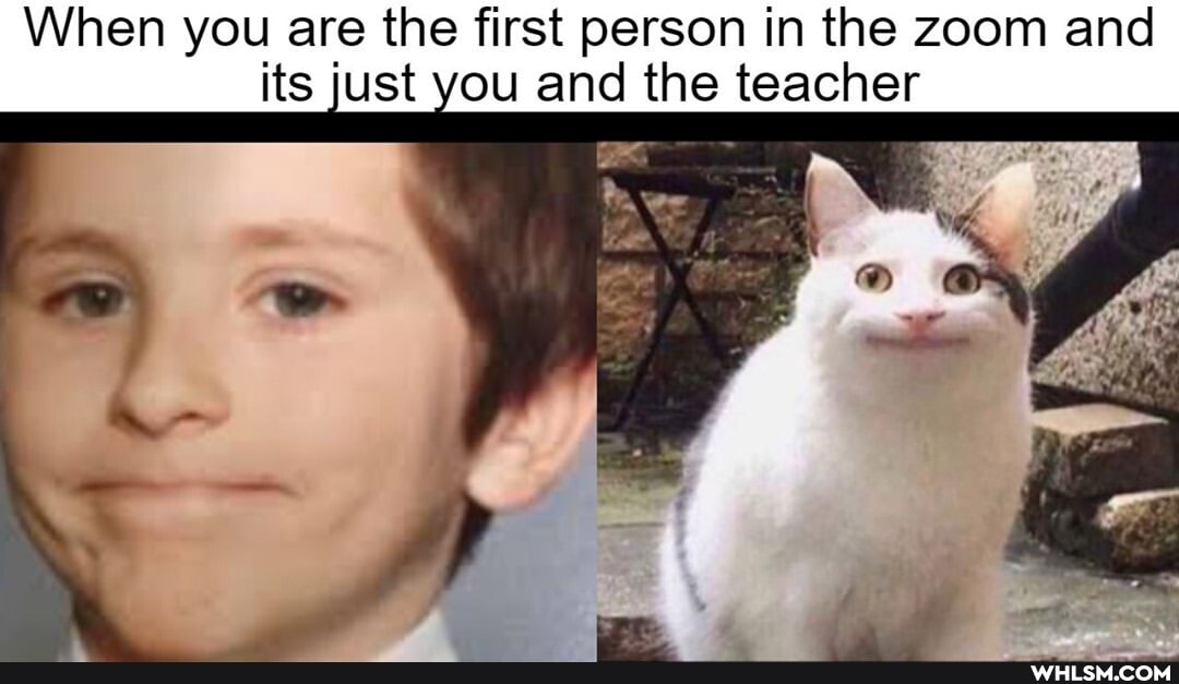 When you are the first person in the zoom and its just you and the teacher