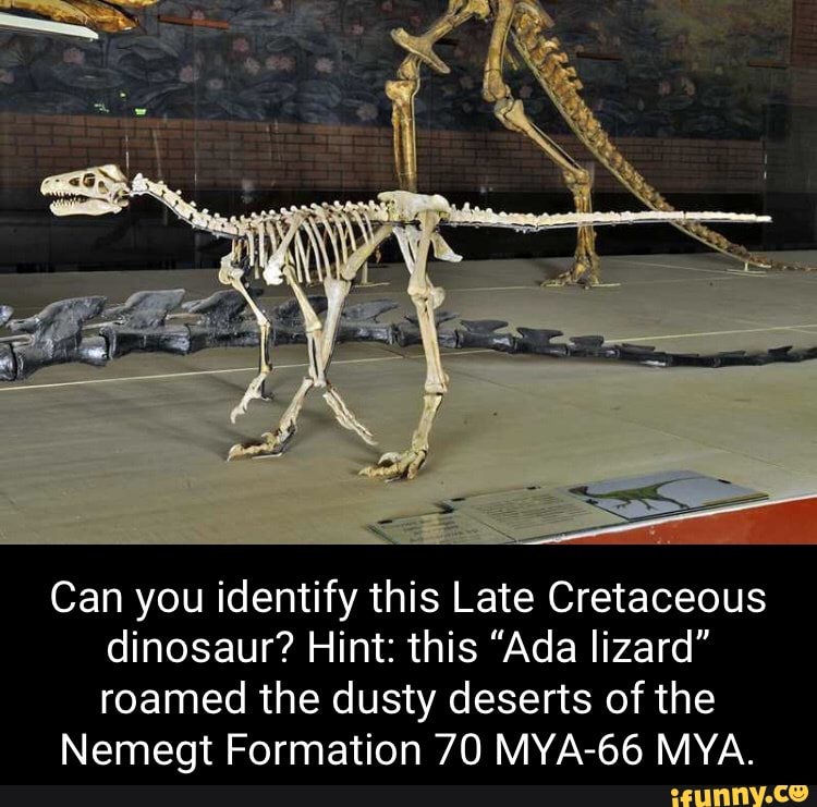 Can you identify this Late Cretaceous dinosaur? Hint: this 