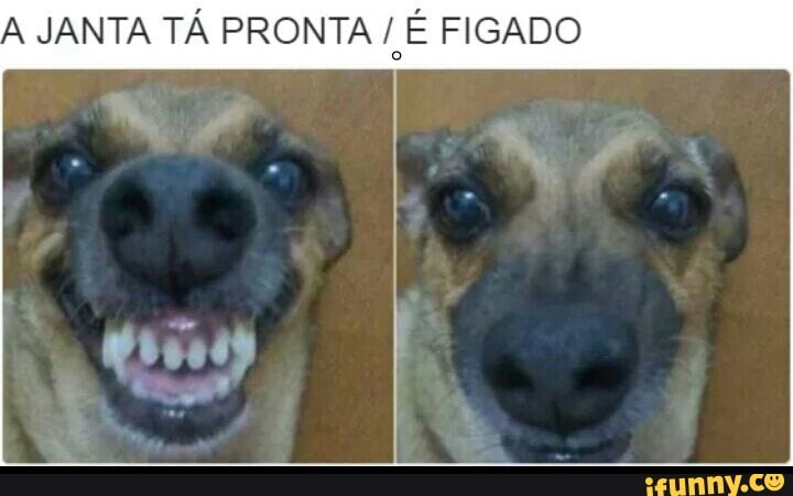 A
JANTA TÁ PRONTA a FIGADO