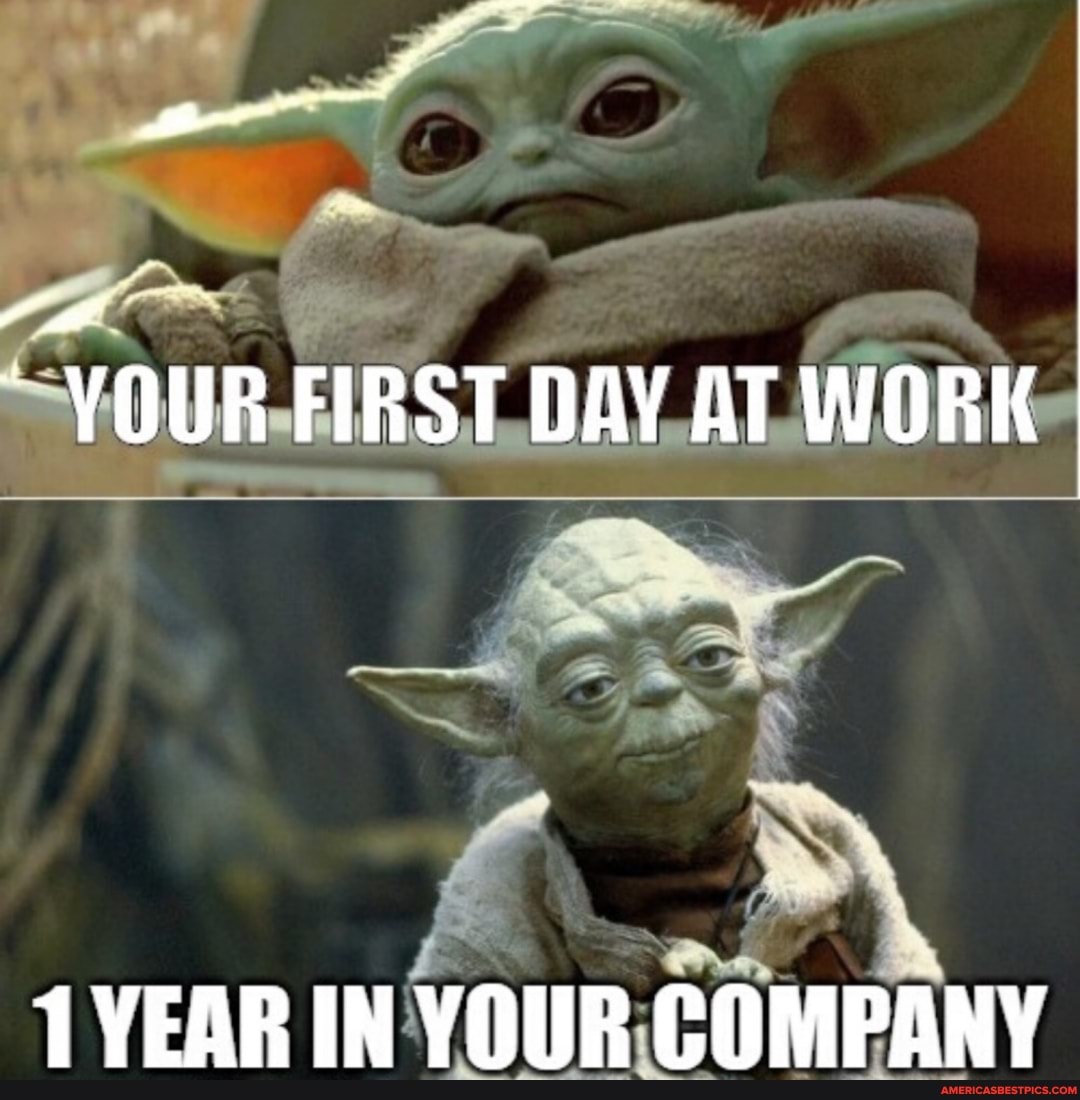 VOUR FIRST DAY AT WORK
1 YEAR IN YOUR COMPANY