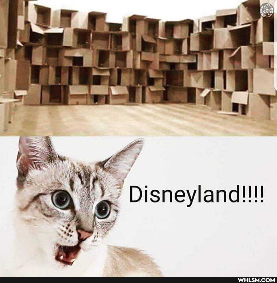 AS
Disneylandll!!
