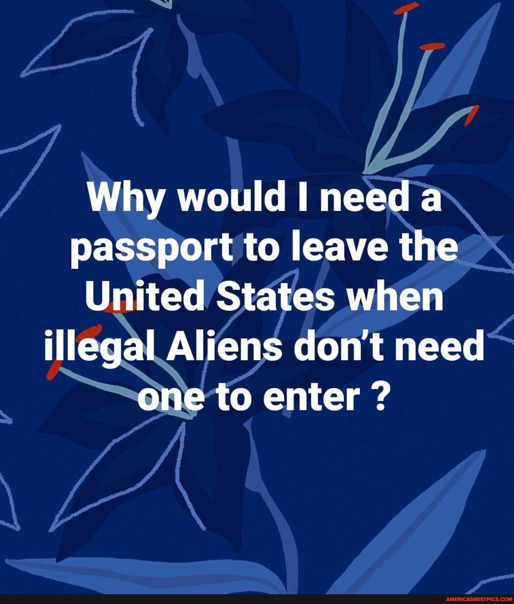 Why would need a passport to leave the
United States when illegal Aliens don't need one to enter ?