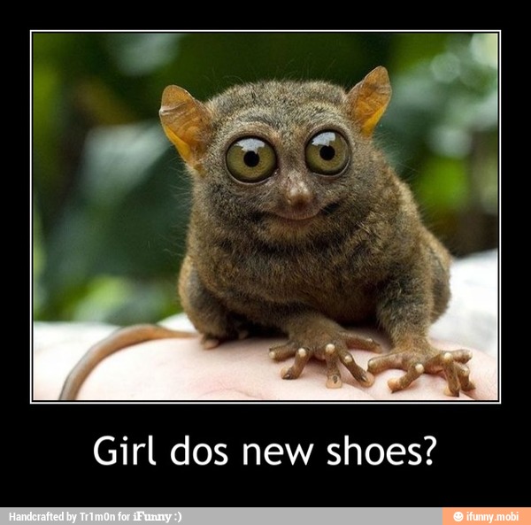 Girl dos new shoes? - Girl dos new shoes?