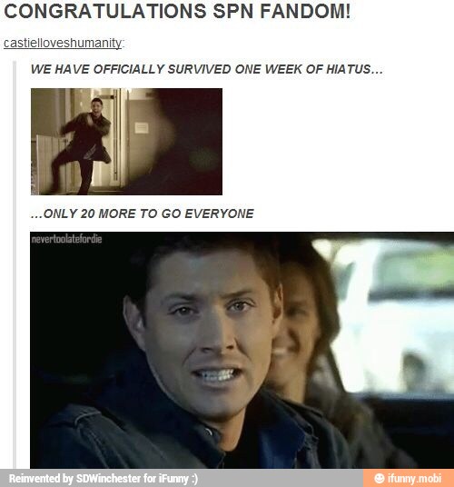 CONGRATULATIONS SPN FANDOM!
WE HAVE OFFICIALLY SURVIVED ONE WEEK OF HIATUS...
