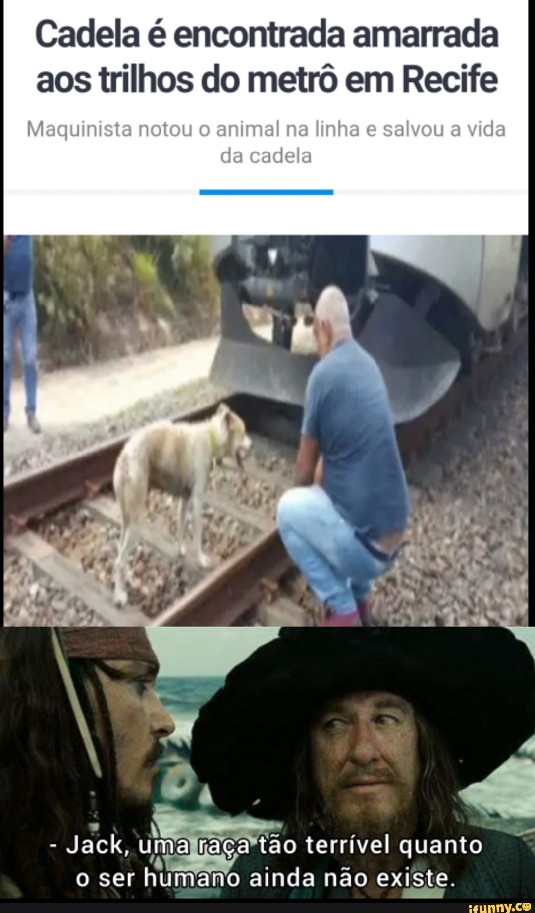 Cadela é encontrada amarrada aos trilhos do metrô em Recife
Maquinista notou o animal na linha e salvou a vida
cadela
Jack, uma raça tao terrível quanto o ser humano ainda não existe.