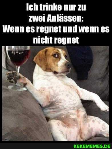 Ich trinke nur zu zwei Anlässen:
Wenn es regnet und wenn es
nicht regnet