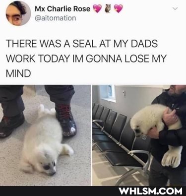 + Mx Charlie Rose @ &
THERE WAS A SEAL AT MY DADS WORK TODAY IM GONNA LOSE MY MIND