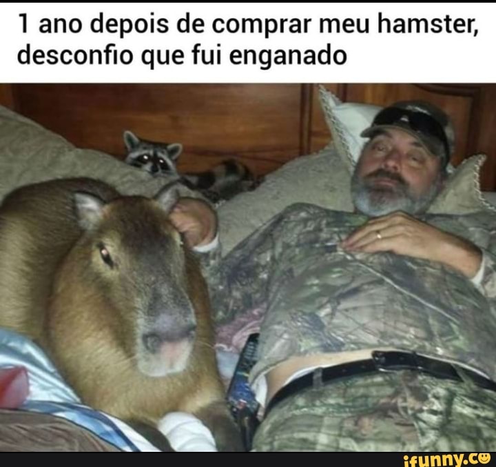 1 ano depois de comprar meu hamster, desconfio que fui enganado