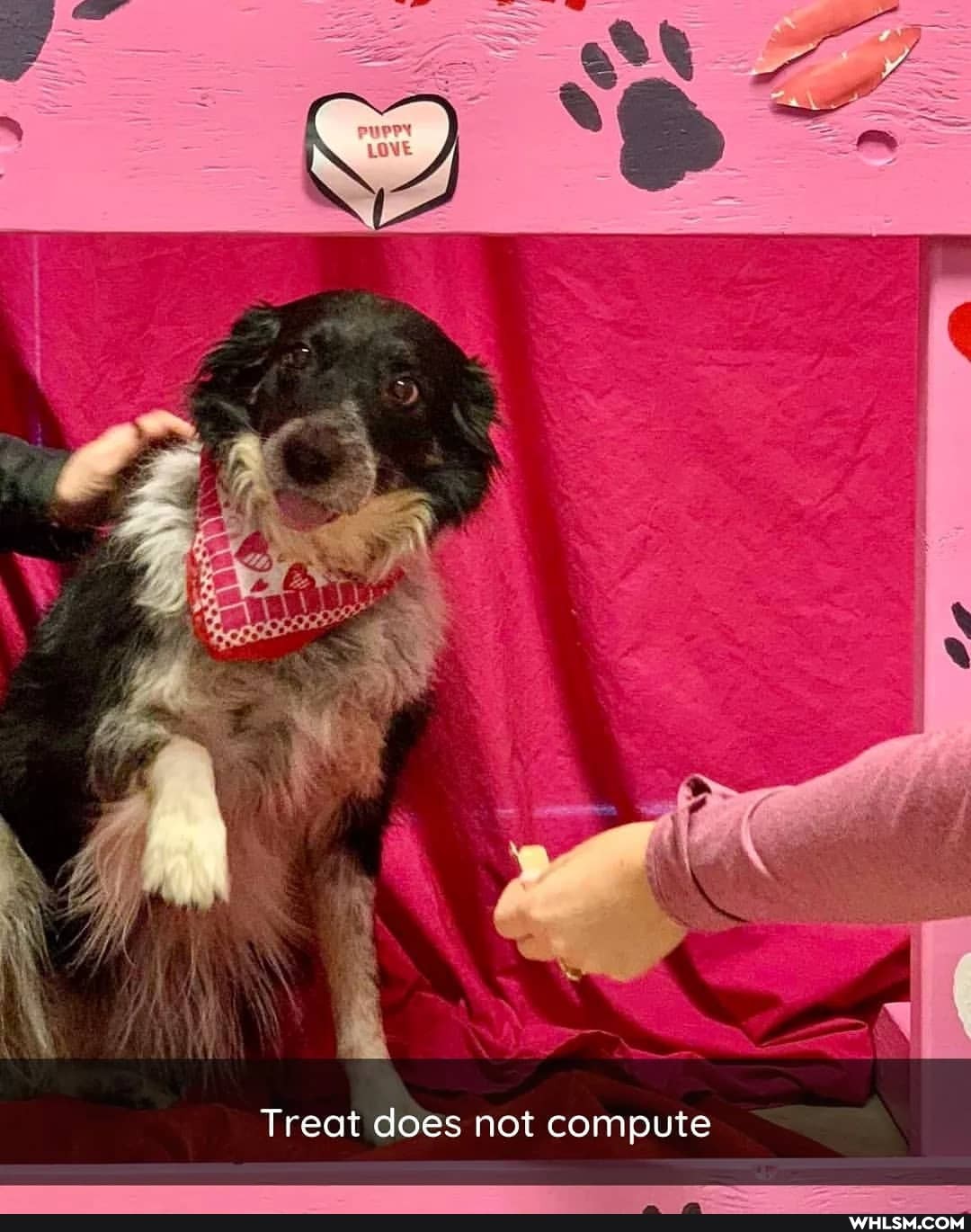 Treat does not compute