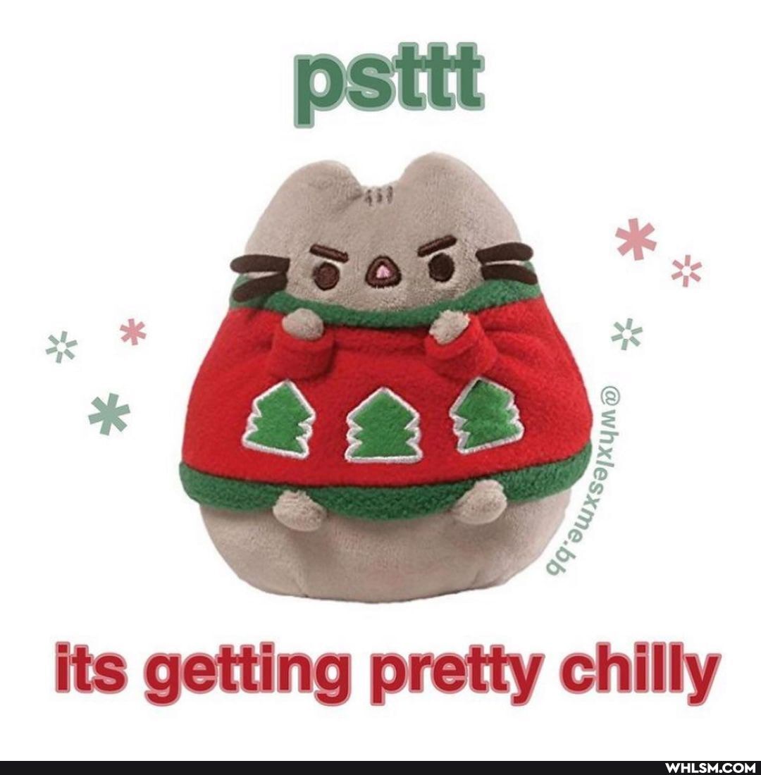 its getting pretty chilly