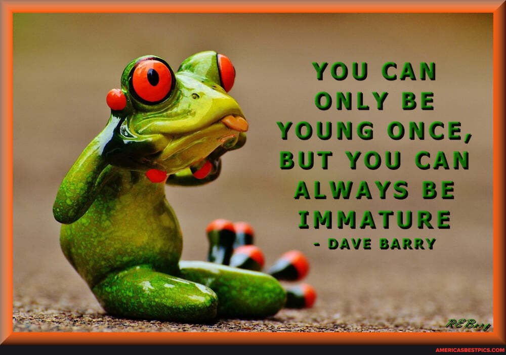 y YOU CAN ONLY BE YOUNG ONCE,
BUT YOU CAN ALWAYS BE IMMATURE
DAVE BARRY