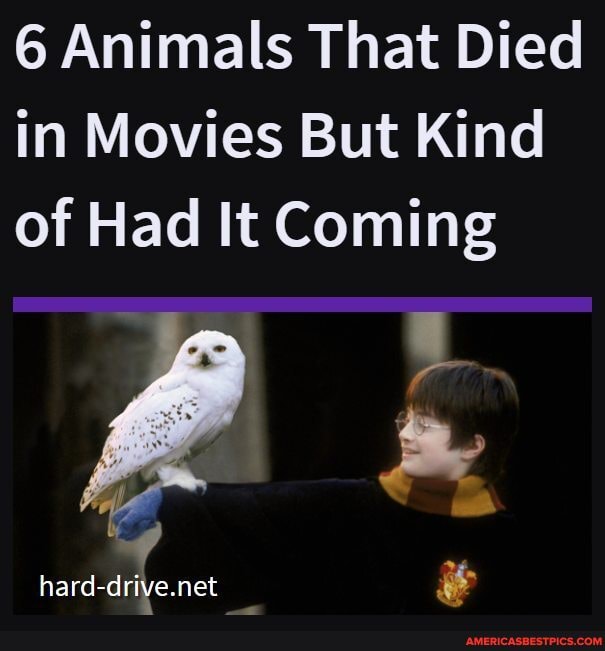 6 Animals That Died in Movies But Kind of Had It Coming net America’s