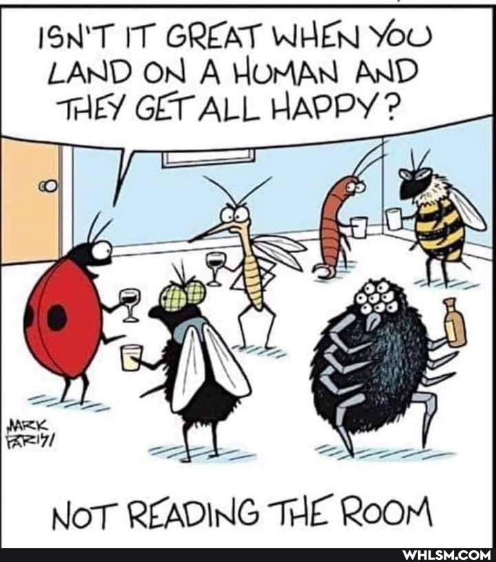 ISN'T IT GREAT WHEN You
LAND ON A HOMAN AND THEY GET ALL HAPPY ?
NoT READING THE Room