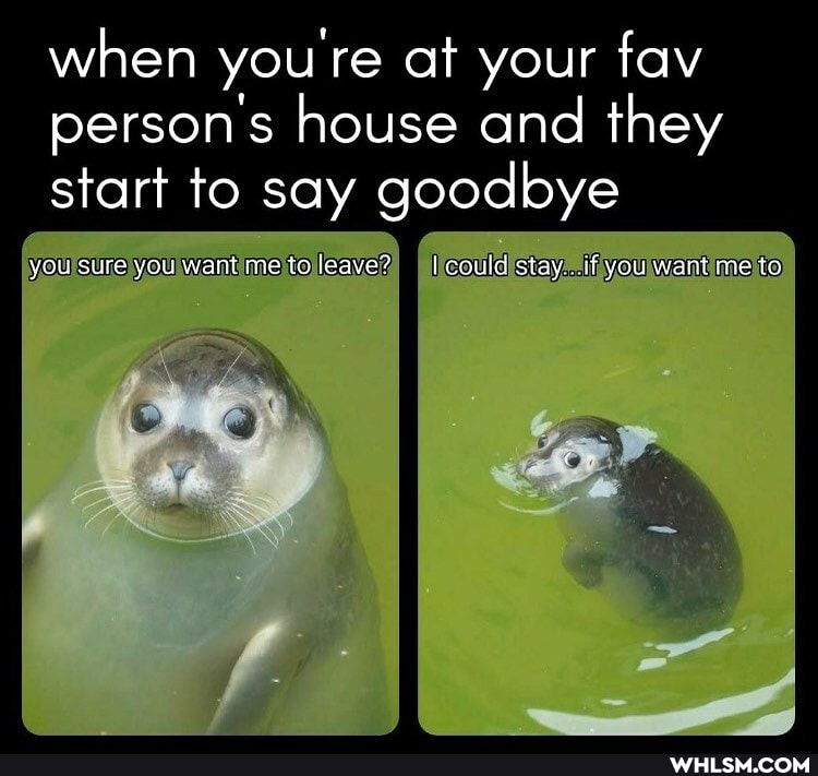 when you're at your fav person's house and they start to say goodbye
you sure you want me to leave?) I could stay...if you want me to