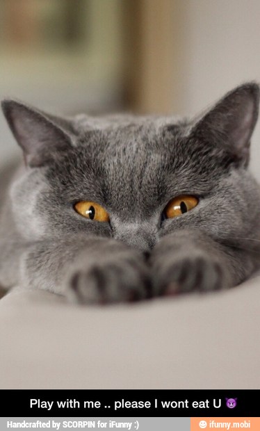 Play with me please I wont eat - Play with me .. please I wont eat U π