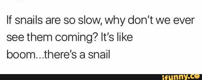 If snails are so slow, why don't we ever
see them coming? It's like
boom.. there's a snail