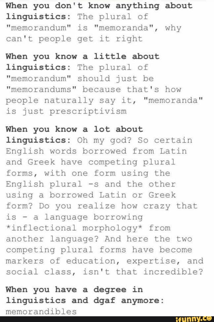 when-you-don-t-know-anything-about-linguistics-the-plural-of