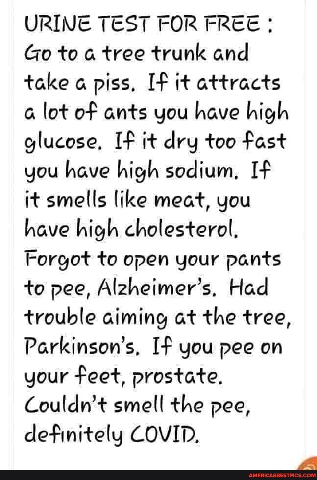 URINE TEST FOR FREE Go to a tree trunk and take piss, If it attracts lot of ants you have high glucose, If it dry too fast you have high sodium, If it smells like meat, you have high cholesterol,
Forgot to open your pants to pee, Alzheimer's, Had trouble aiming at the tree,
Parkinson's, If you pee on your feet, prostate,
Couldn't smell the pee, definitely COVID,
