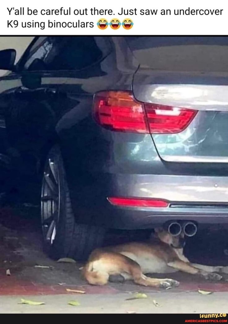 Y'all be careful out there. Just saw an undercover using binoculars
VA