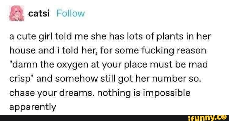 A catsi Follow
a cute girl told me she has lots of plants in her house and i told her, for some fucking reason
"damn the oxygen at your place must be mad crisp" and somehow still got her number so.
chase your dreams. nothing is impossible apparently