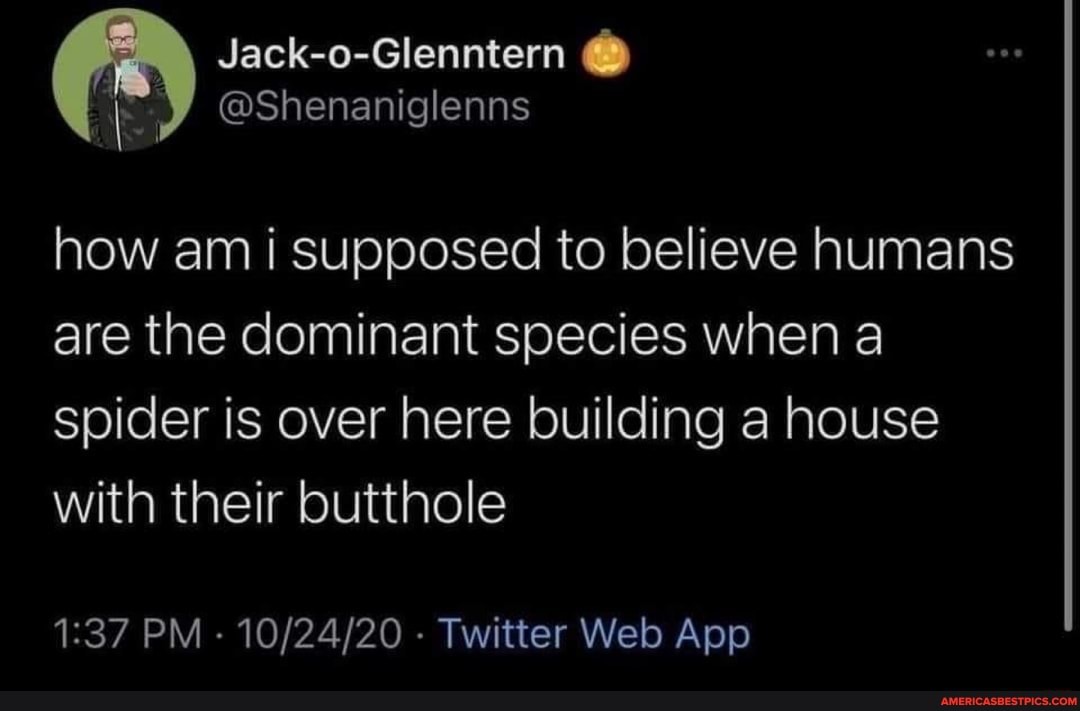 Jack-o-Glenntern
@Shenaniglenns how am i supposed to believe humans are the dominant species when a
spider is over here building a house with their butthole