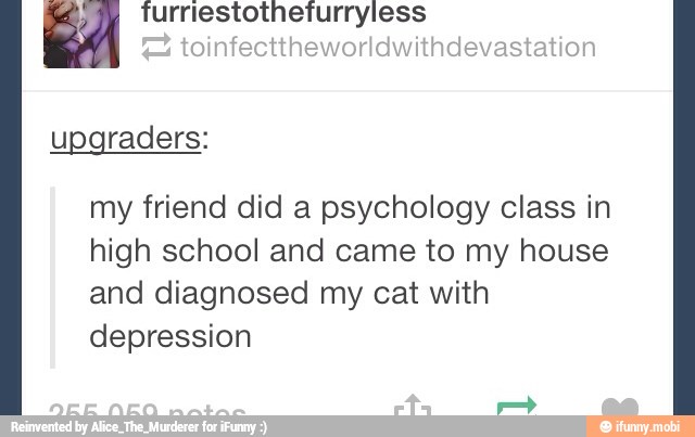 Bay turriestotheiurryless
A toinfecttheworldwithdevastation
upgraders:
my friend did a psychology class in
high school and came to my house
and diagnosed my cat with
depression