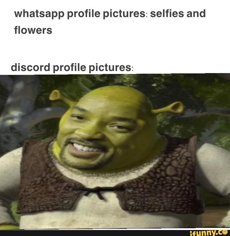 Whatsapp profile pictures: selfies and flowers discord profile pictures ...