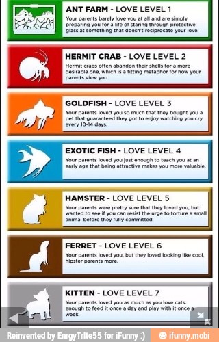 HERMIT CRAB LOVE LEVEL 2
GOLDFISH LOVE LEVEL 3
EXOTIC FISH LOVE LEVEL 4
HAMSTER LOVE LEVEL 5
FERRET LOVE LEVEL 6
sat neu nerd mae cos
KITTEN LOVE LEVEL 7