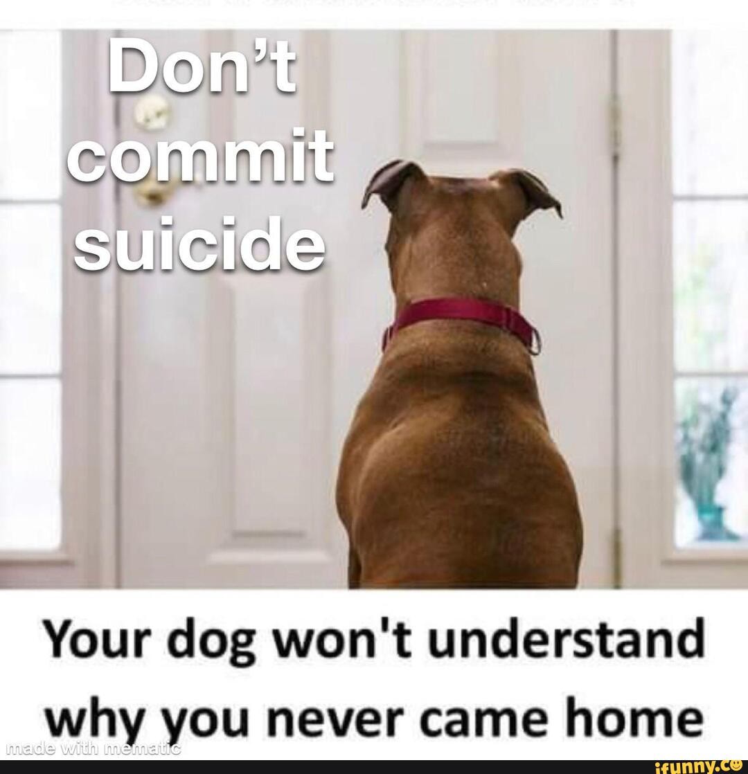 Don't commit suicide
on
Your dog won't understand
_why you never came home
