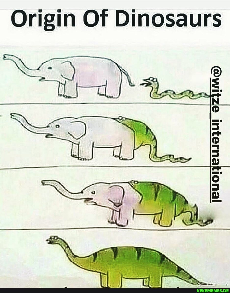Origin Of Dinosaurs