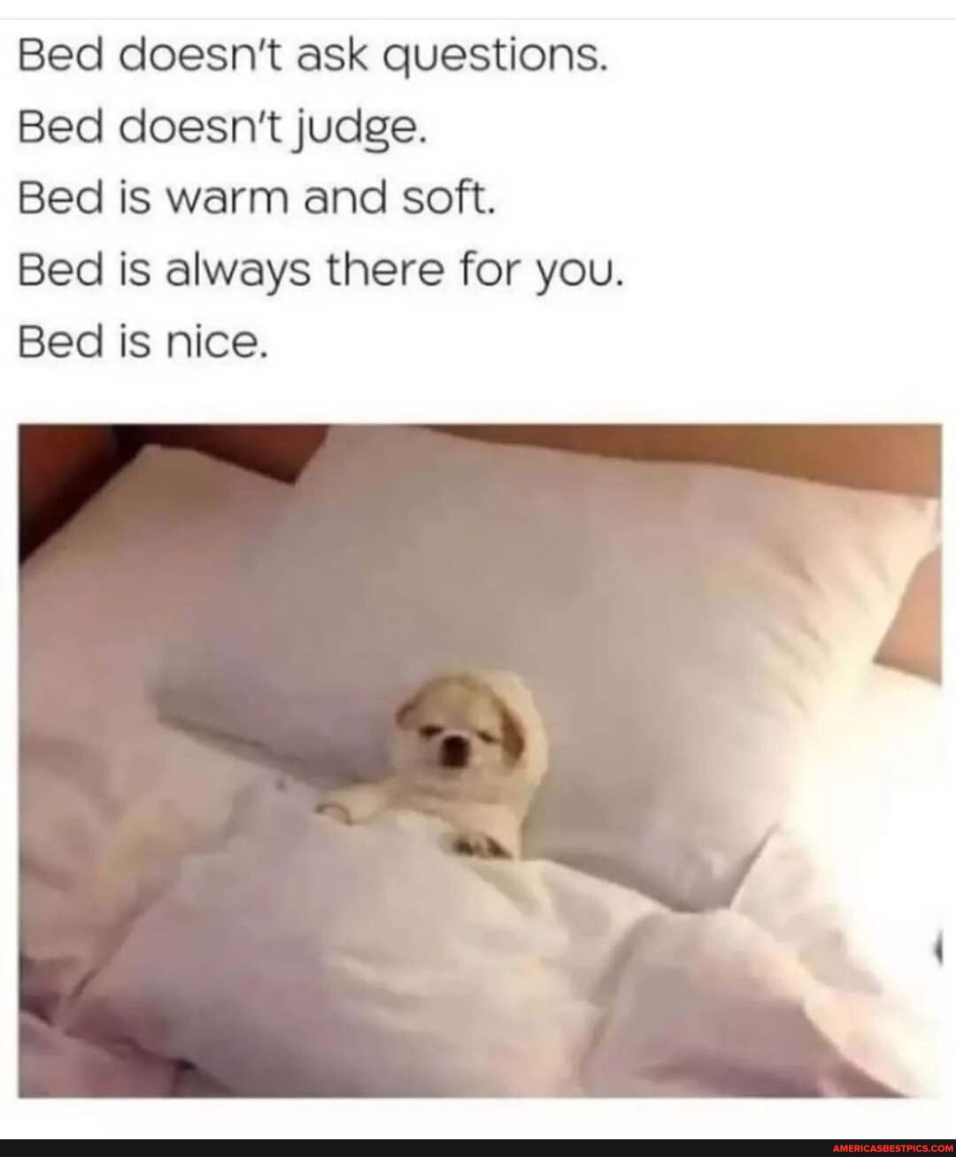 🤣 Bed doesn't ask questions. Bed doesn't judge. Bed is warm and soft