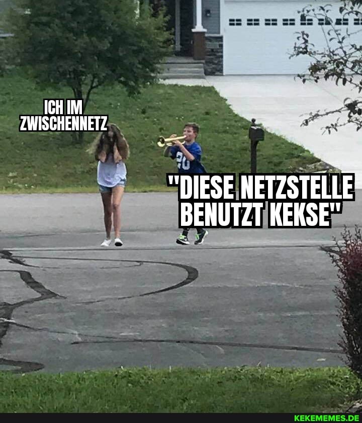 ICH IM ZWISCHEHNETZ
"DIESE NETZSTELLE:
BENUTZT KEKSE"