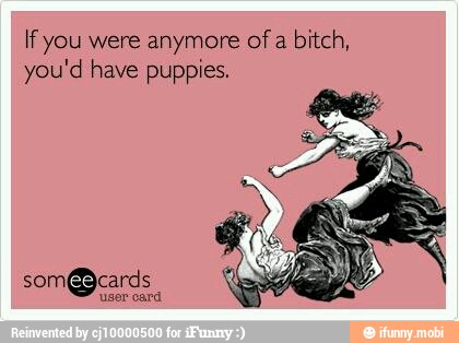 If you were anymore of
a bitch,
you'd have puppies.