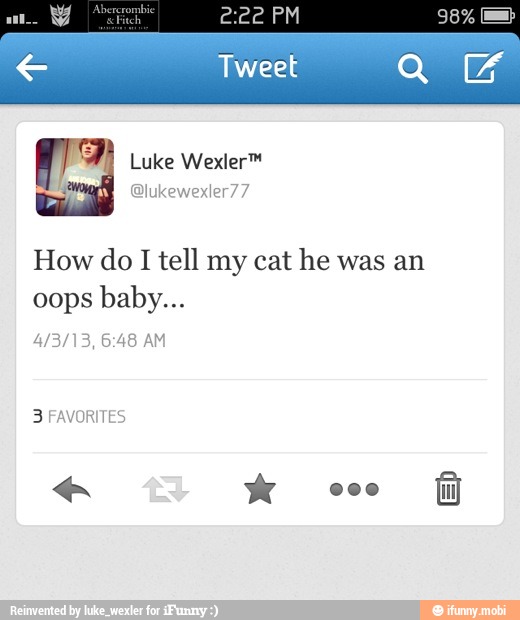 How do I tell my cat he was an
3 FAVORITES