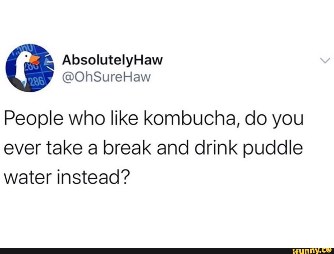 People who like kombucha, do you
ever take a break and drink puddle
water instead?