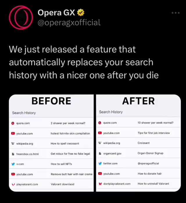 Opera GX sanitizes your browsing history after your death