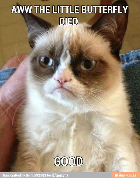 AWW THE LITTEE BUTTERFLY
DIED