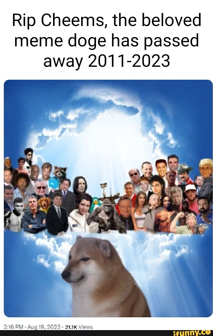 Rip Cheems, the beloved meme doge has passed away 2011-2023 PM- Aug 19 ...