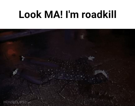 Roadkill Mom