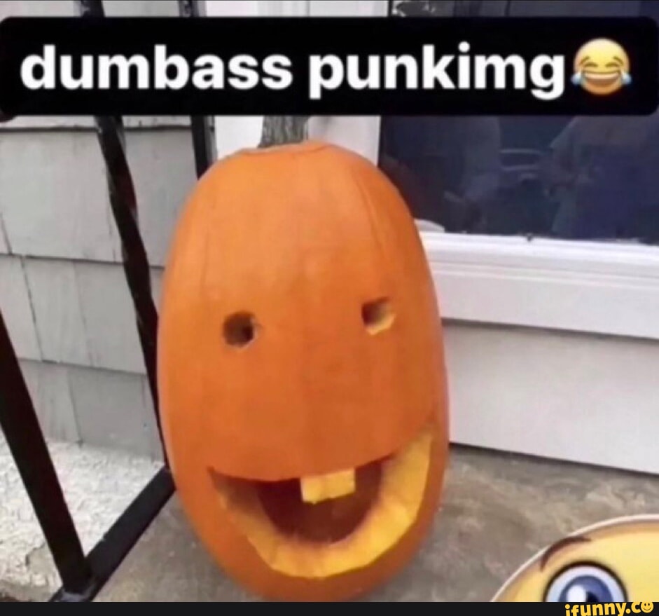 picture-memes-pgng2ouza-by-uraveragefurryfemboy-ifunny