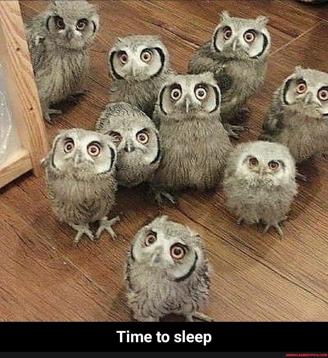 Time to sleep - Time to sleep