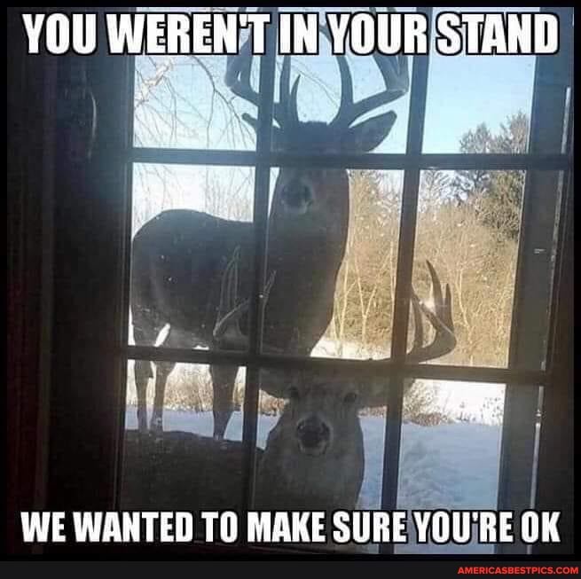 YOU WEREN'T IN YOUR STAND
WE WANTED TO MAKE SURE YOU'RE OK