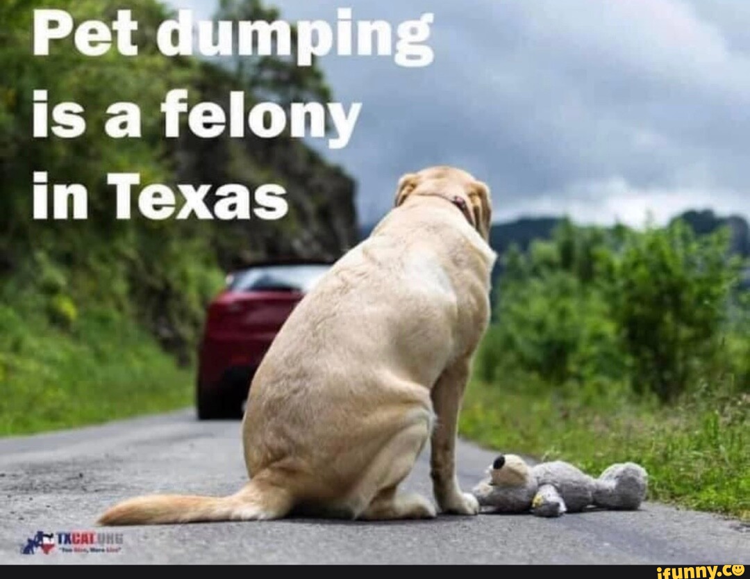 Pet dumping is a felony iInTexas . iFunny