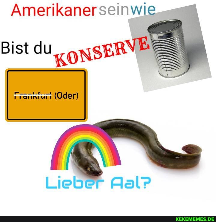 Amerikaner seinwi
Bist du KonsER
(Oder)
Lie
Aal?