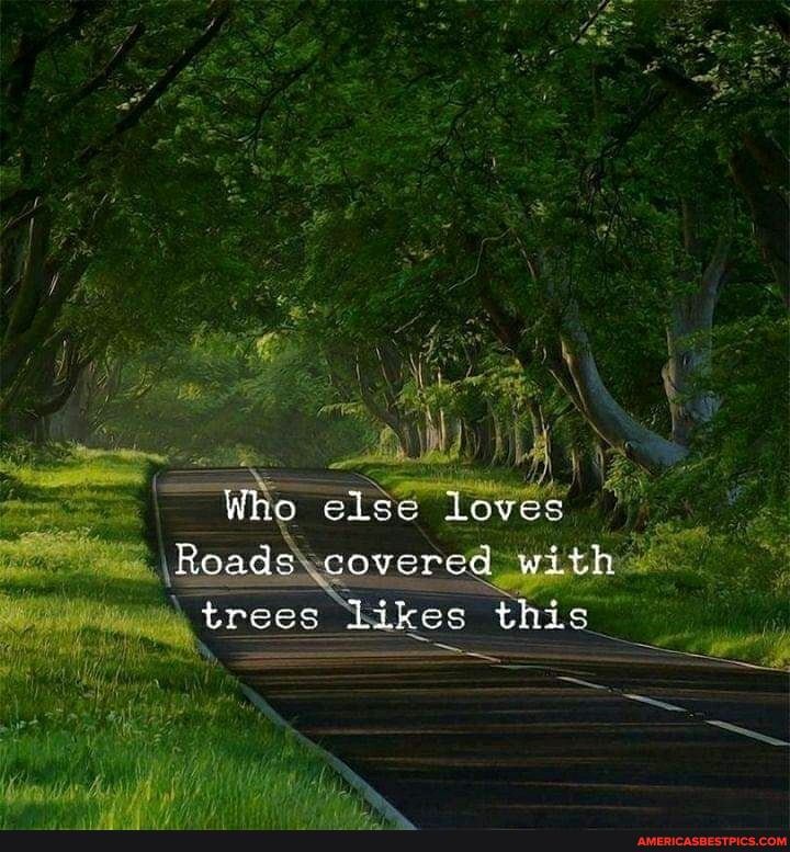 Who
ads
trees
eles Loves
covered