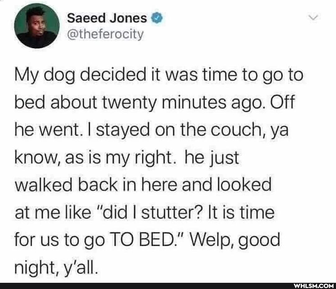 Sased Jones
@theferocity
My dog decided it was time to go to bed about twenty minutes ago. Off he went. I stayed on the couch, ya know, as is my right. he just
walked back in here and looked
at me like "did I stutter? It is time
for us to go TO BED." Welp, good night, y'all.